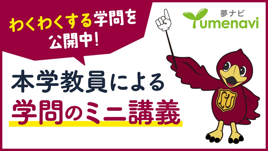 夢ナビ 上智大学